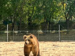 -秦皇岛野生动物园