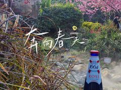 -狐尾山公园