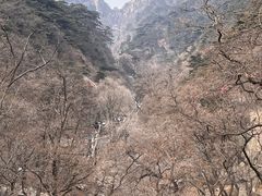 -泰山风景名胜区