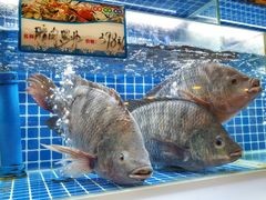 -永記粤菜·五指毛桃花雕鸡煲(九亭店)