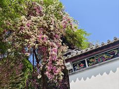 -深圳国际园林花卉博览园