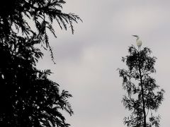-蜀绣公园