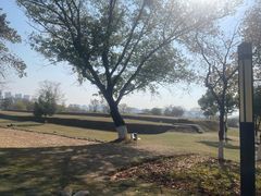 -盘龙城国家考古遗址公园