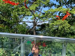 -陕西省红河谷森林公园