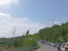 -清境桃源
