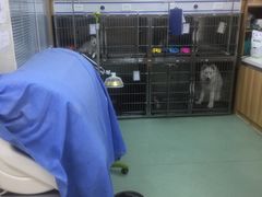 -康乐宝动物医院