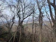 -句容茅山景区