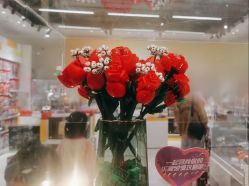 -乐高授权专卖店(中关村领展店)