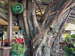 -Green Tree Rest. & Pub