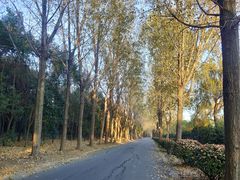 -东南大学(九龙湖校区)