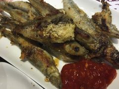 -尚雅铁板料理自助餐厅(乐松店)
