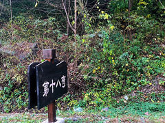 -天女山森林公园