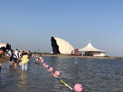 -碧海金沙