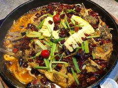 -老板恋上鱼(恒隆广场店)