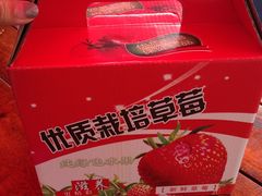 -小鱼草莓采摘园农家乐·小鱼餐厅