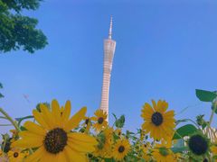 -二沙岛艺术公园