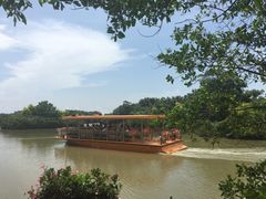 -大湾区中央湿地公园