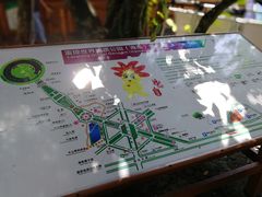 -海口火山口国家地质公园