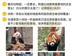 -观音桥步行街