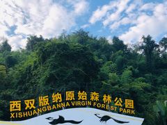 -西双版纳原始森林公园