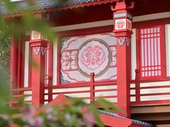 -太阳宫公园