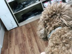 -荔康动物医院(康王北路店)