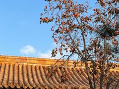 -故宫博物院(故宫)