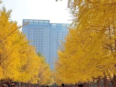 -辽宁大学(崇山校区)