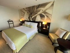 -国家会议中心大酒店