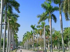 -厦门大学(思明校区)