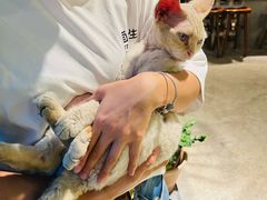 -自由生长植物工作室(深港花卉中心店)
