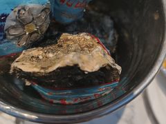 -半岛听涛蒸汽海鲜自助(K11店)