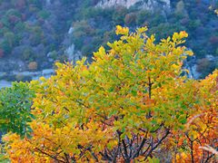 -白草畔自然风景区