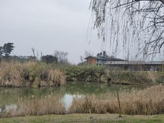 -白鹭湾湿地公园
