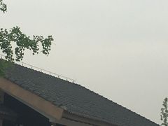 -长兴太湖图影湿地文化园