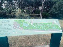 -顾村公园