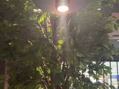-同仁四季椰子鸡(无锡滨湖万象汇店)