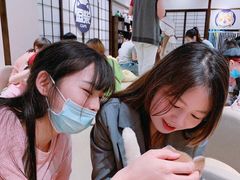 -逗柴咖啡屋·狗咖猫咖宠物桌游