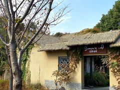 -太湖湖滨国家湿地公园-停车场