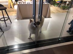 -肆兮眼镜·蔡司·徕卡战略合作店(大坪店)