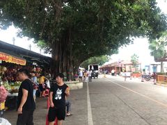 -南沙十九涌渔人码头-南门