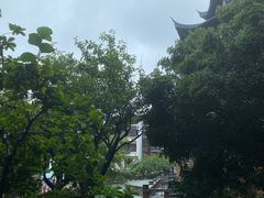 -苏州吴宫泛太平洋酒店