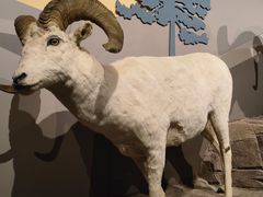 -陕西自然博物馆