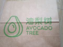 -油梨树 AVOCADO TREE(亮马桥店)