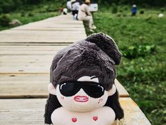 -白草畔自然风景区