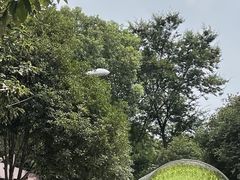 -张鸟园农家乐(张鸟园店)