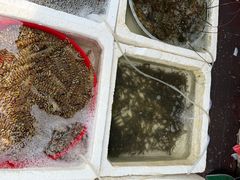 -上海浦南农副产品批发市场