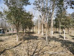 -淇河国家湿地公园