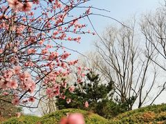 -白塘生态植物园