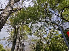 -永安龟山公园